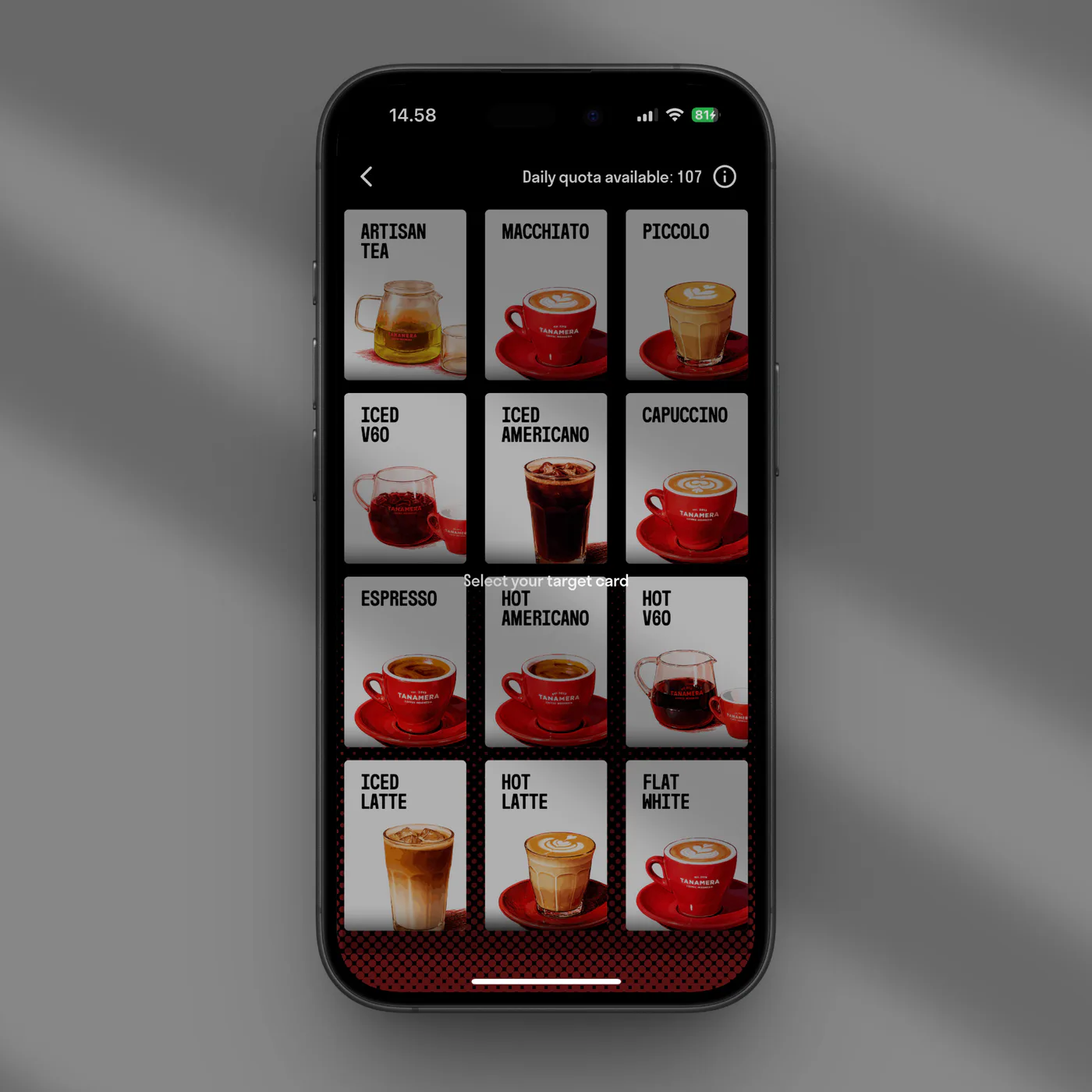 MyTanamera interface view 3
